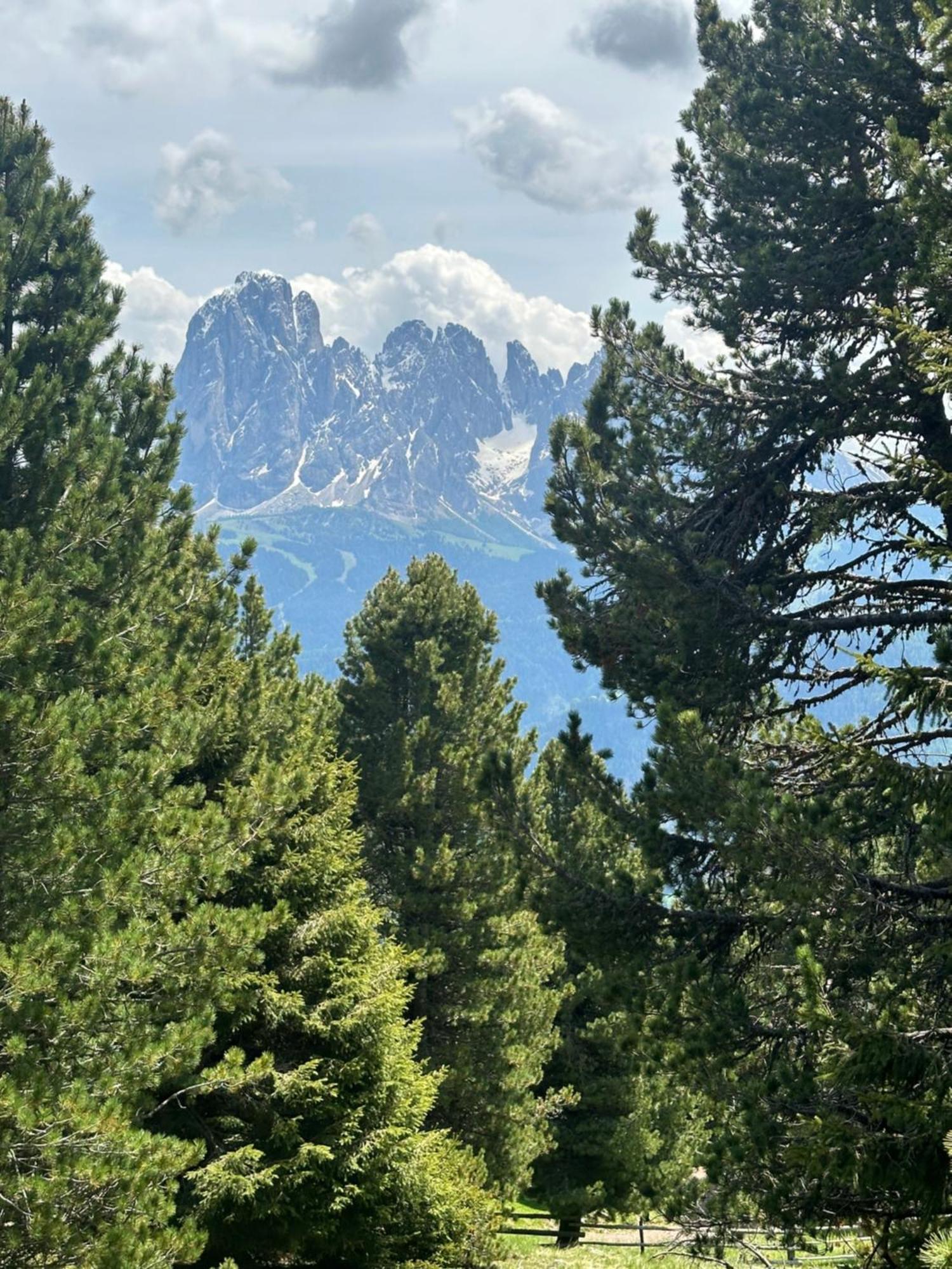 Chalet Da Mont Resciesa Ortisei Bagian luar foto