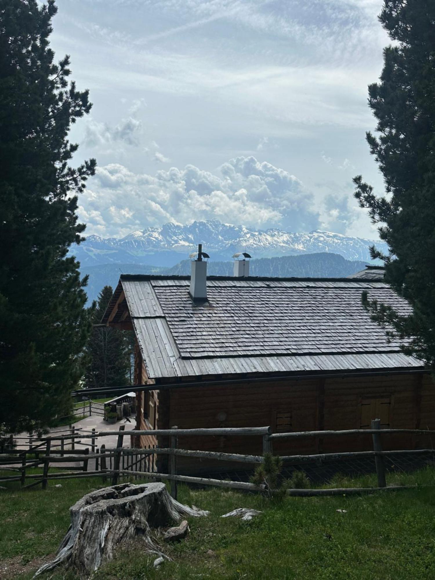 Chalet Da Mont Resciesa Ortisei Bagian luar foto